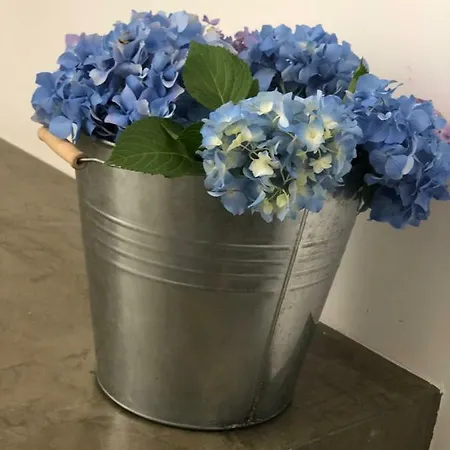 Urban Views Terrace - Duplex 