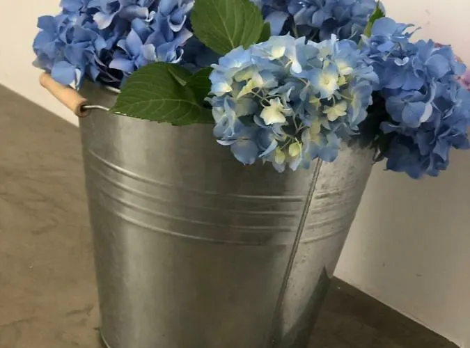 Urban Views Terrace - Duplex 